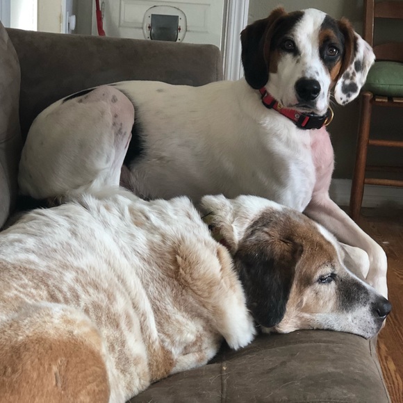 Amanda’s A Lil Bit of Everything Closet - Picture 5 of 8